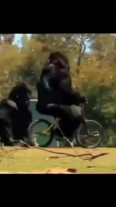 Dario adolescente che gira per Collesalvetti in bicicletta