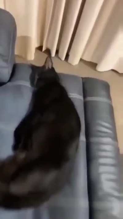 fofo