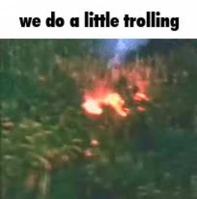A bit of tomfoolery