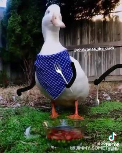 dangerous goose :)