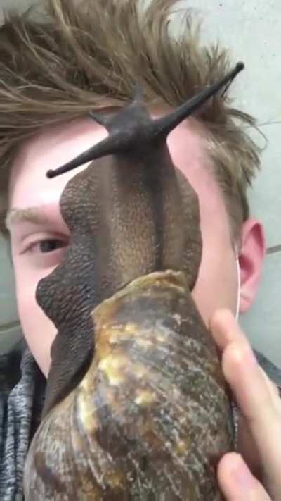 wtf and why