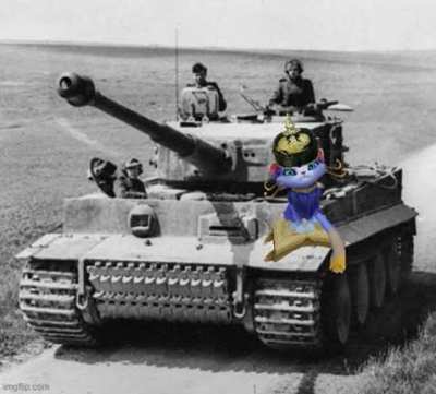 Meet: Admiral Yuumi