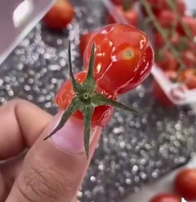 tomato nails