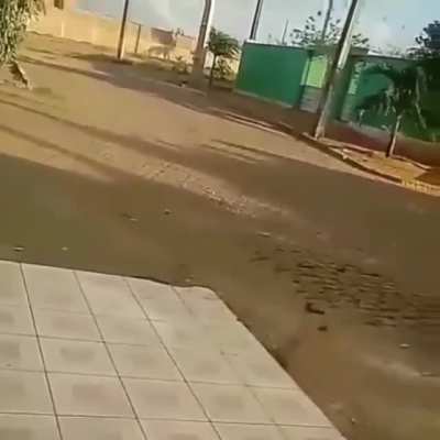 tu &eacute; besta?