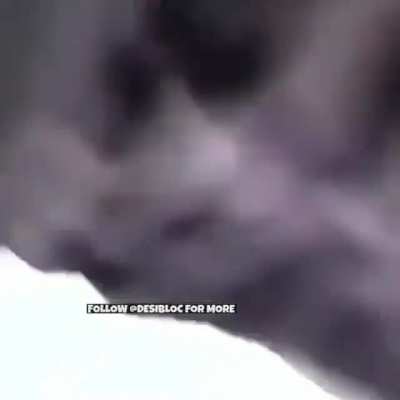 Hope mods don't remove this