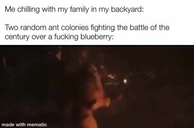 Thousands die to feed the queen every day