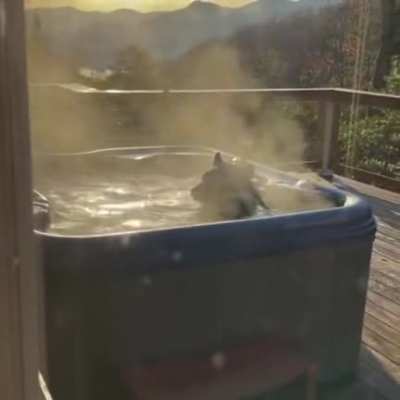 Freeloading bear taking a bath in someone's backyard jacuzzi