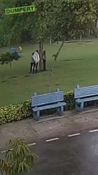 WCGW standing under a tree for shelter