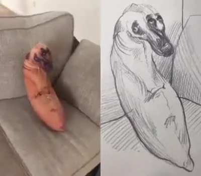 Blursed_Dog pillow