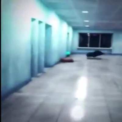 Cursed_umbrella