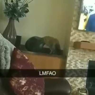 It was his favorite vase