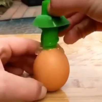 egg