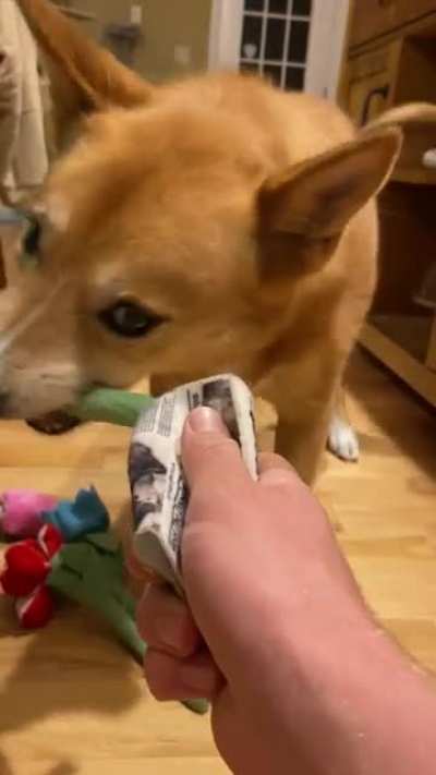 I guess she doesn&rsquo;t like flowers