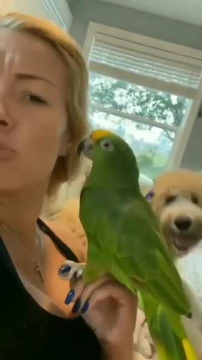 Jealousy