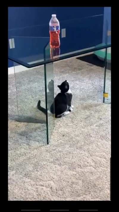 To get on top of the table