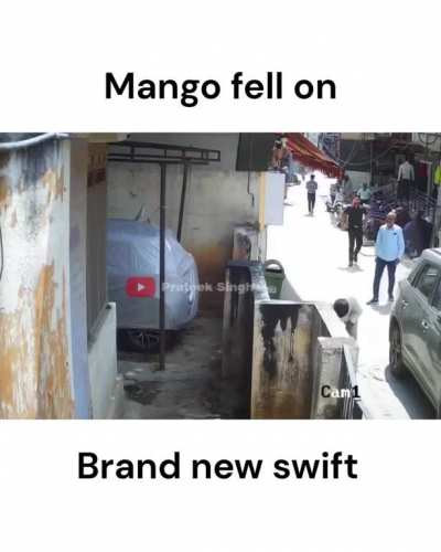Very expensive mango. 