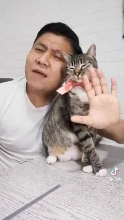 The cat: He&rsquo;s drunk again...