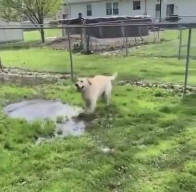 Happy boy can&rsquo;t get enough PUDDLES