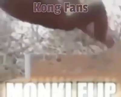 reject humanity become monke