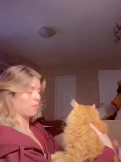 to get a hug