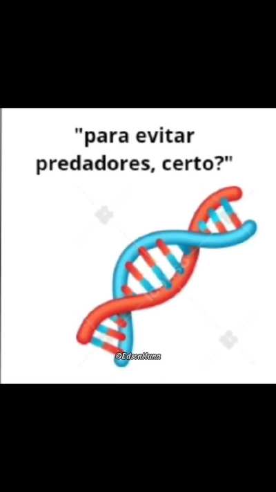 evoluss&atilde;o 