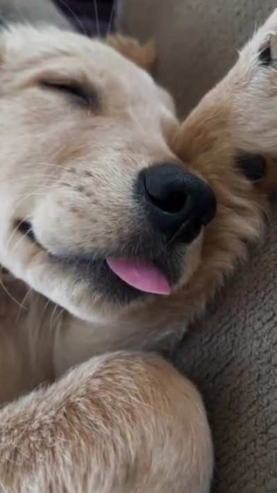 Is this normal? It&rsquo;s cute but is she biting her tongue? 🤣