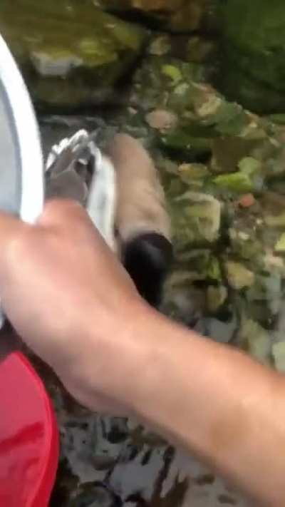 BONK