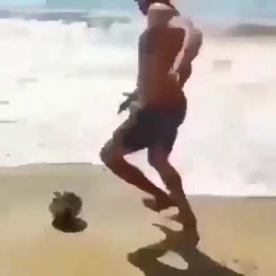 falta?