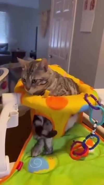 I am a baby too &hellip;