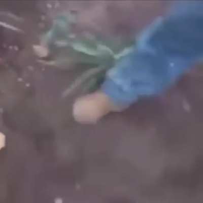 Pinche serpiente, yo tambi&eacute;n ando buscando a qui&eacute;n inyectarle la ponzo&ntilde;a