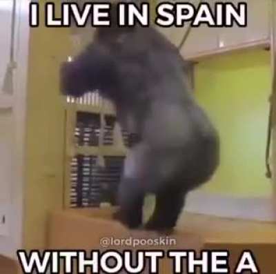 Mono