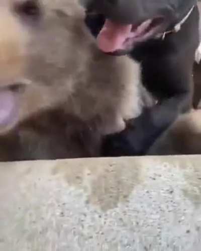 Maybe maybe maybe