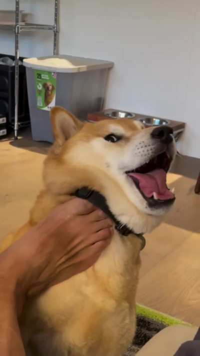 Wunks Last Moments