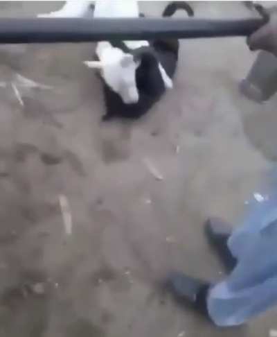 Wait till the end