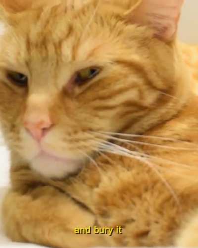 Not impressed&hellip;