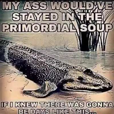 Rule