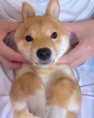 This is too cute!