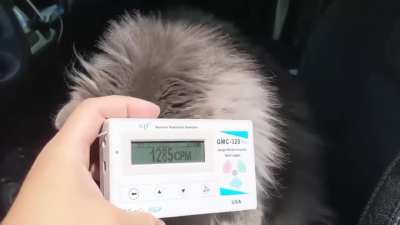 radioactive wunkus