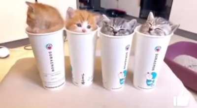 Your order is ready