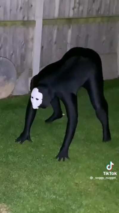 entirely creepy and terrifying those sounds and movement are out of a nightmare