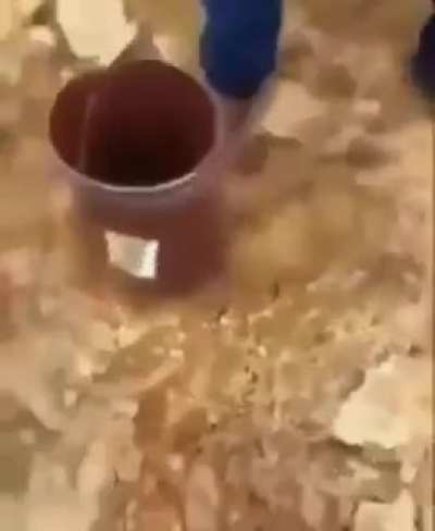 pusy