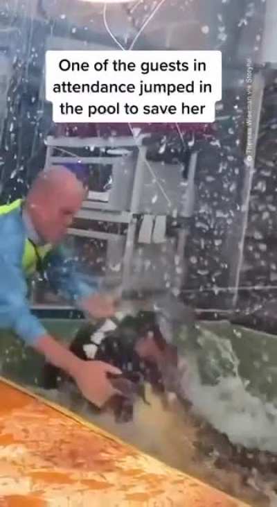 An alligator going hog wild on it&rsquo;s handler