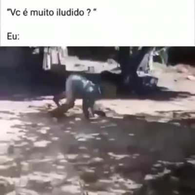 Gilberto-san, o dem&ocirc;nio da obra oculta da Vila da Folha e galo-san, o galeto mestre de frangojutsu.