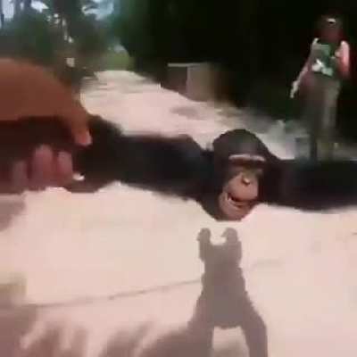Um video aleatorio