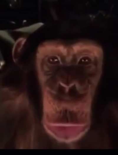 When tendies are for dinner. Who&rsquo;s that great ape over thereeeee?! (Spoiler, it&rsquo;s you)