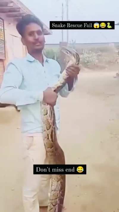 Snake affection 🐍 alert 🚨