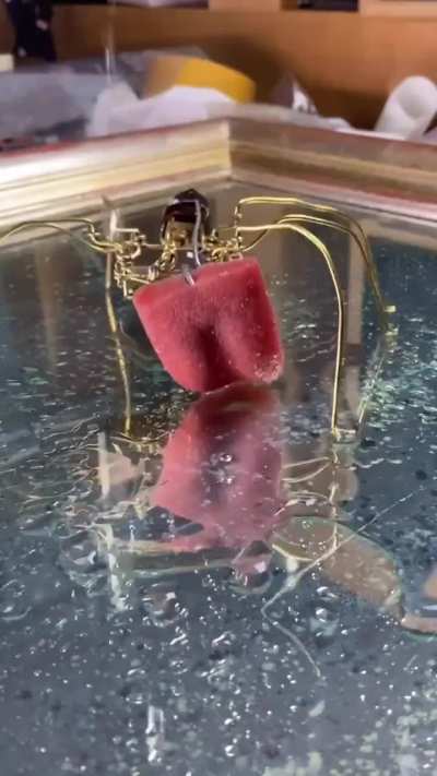 Mobile licker thingy