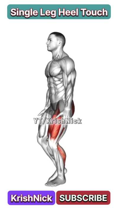 Single Leg Heel Touch Squats for Stronger Legs &amp;amp; Balance