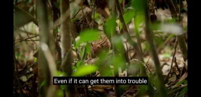 Trouble