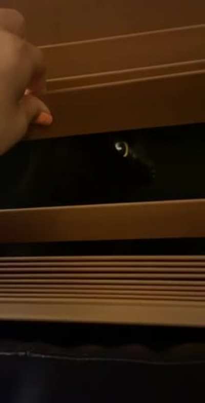 The black beyond the blinds